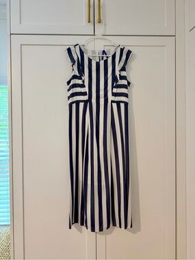 Seraphine Navy and White Striped Maternity and Postpartum Dress